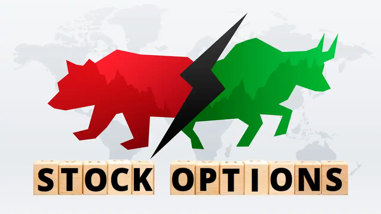 options-bull-bear